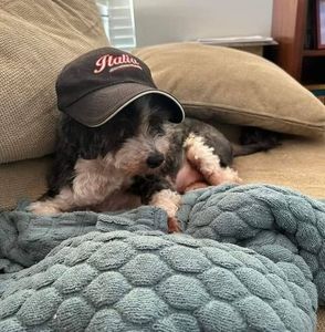 Meet your Posher, Tania